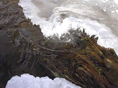Beberbach am Waggumer
        Weg Januar 2006