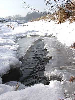 Beberbach am Waggumer
        Weg Januar 2006