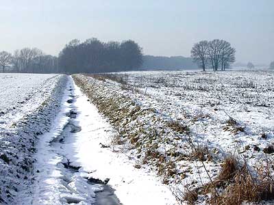 Beberbach am Waggumer
        Weg Januar 2006
